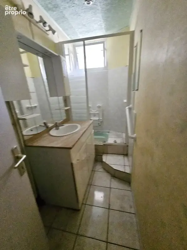 Verdun Ciel, Verdun sur le Doubs centre ville, 2 Appartements locatifs + grenier - photo 10