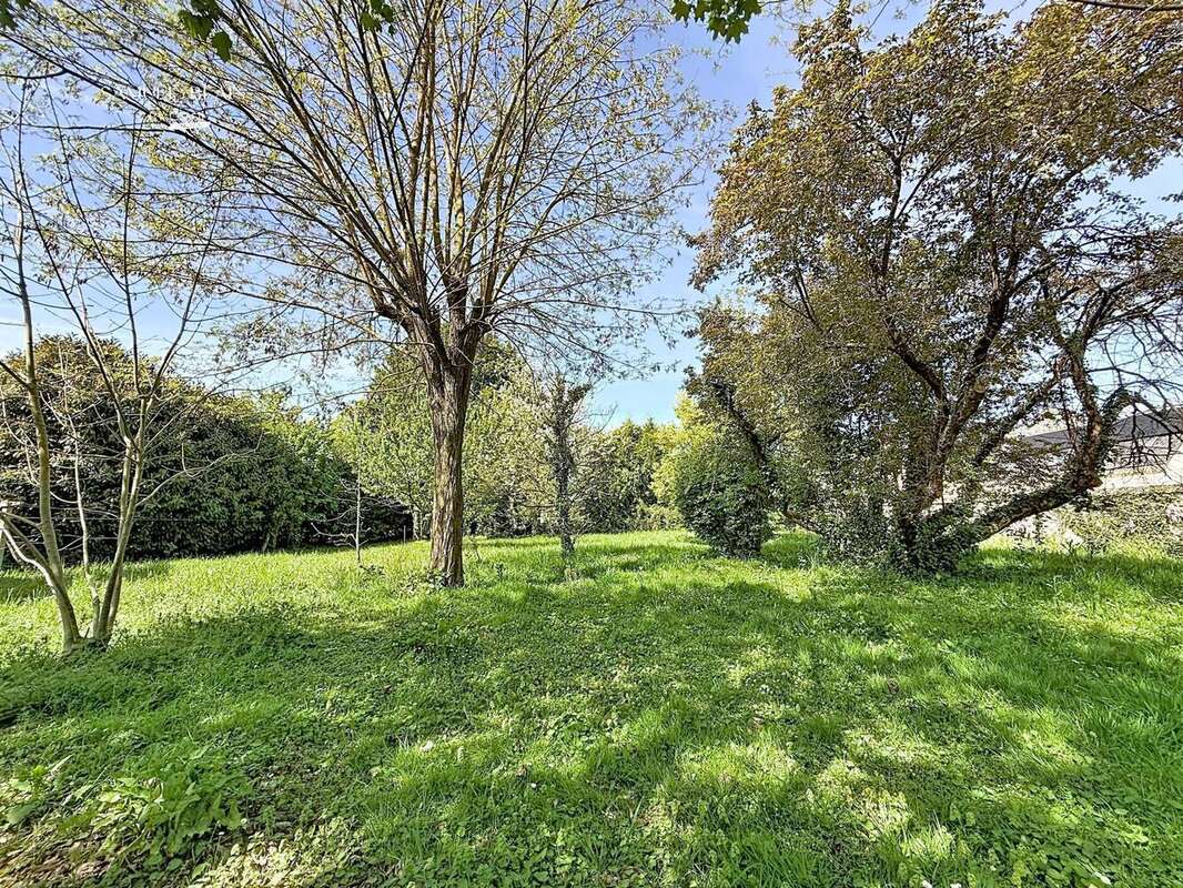 Maison 180 m² à Brain-Sur-Allonnes  - photo 6