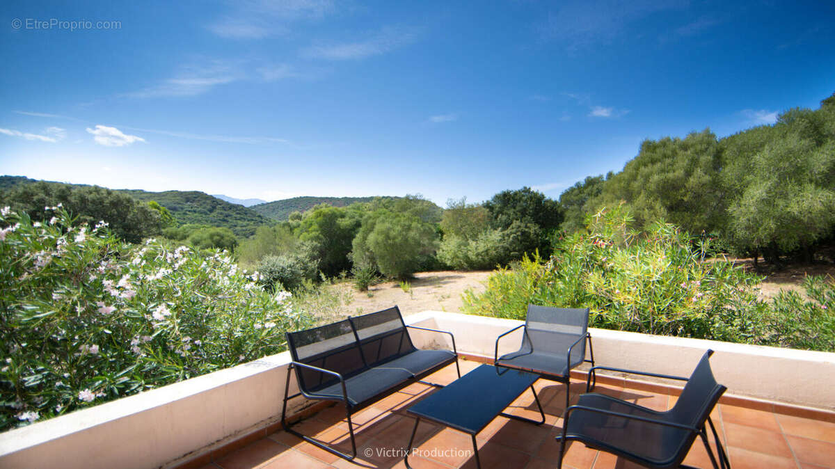 Demeure de prestige Oletta 15 pièces 281 m2, piscine, terrain 7500 m2 - photo 16