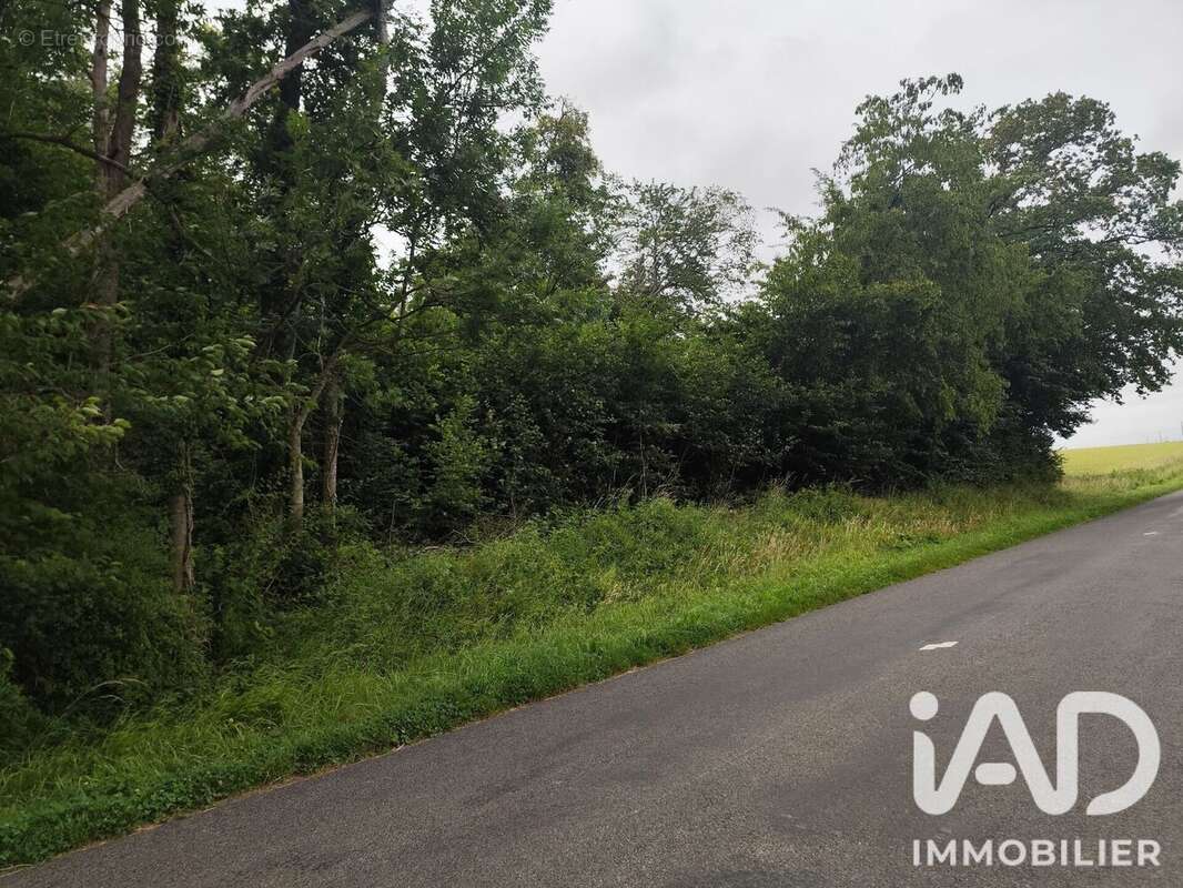 Terrain 2740 m² à Bellot  - photo 8