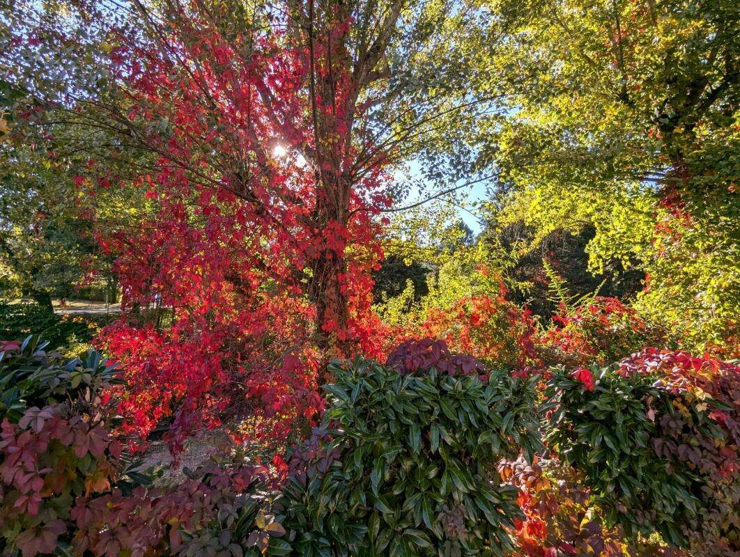 Appartement à LAMALOU-LES-BAINS