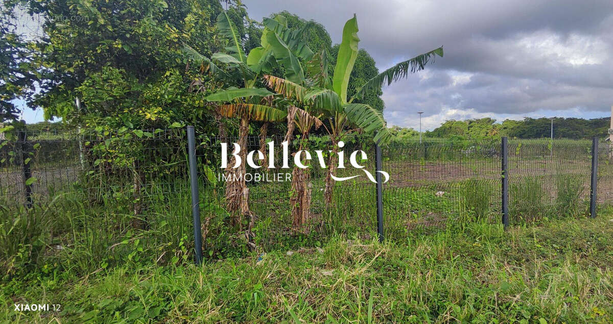 Terrain à BAIE-MAHAULT