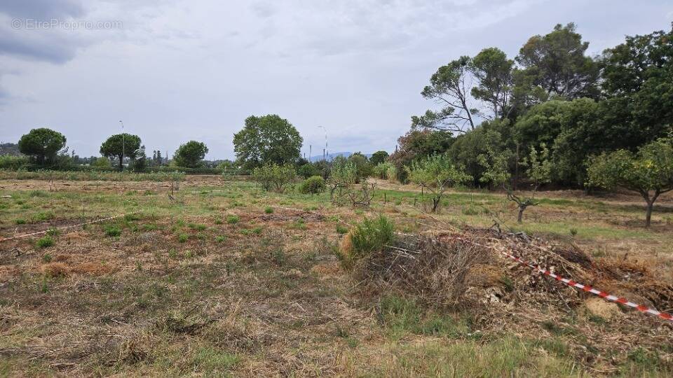 Terrain à FREJUS