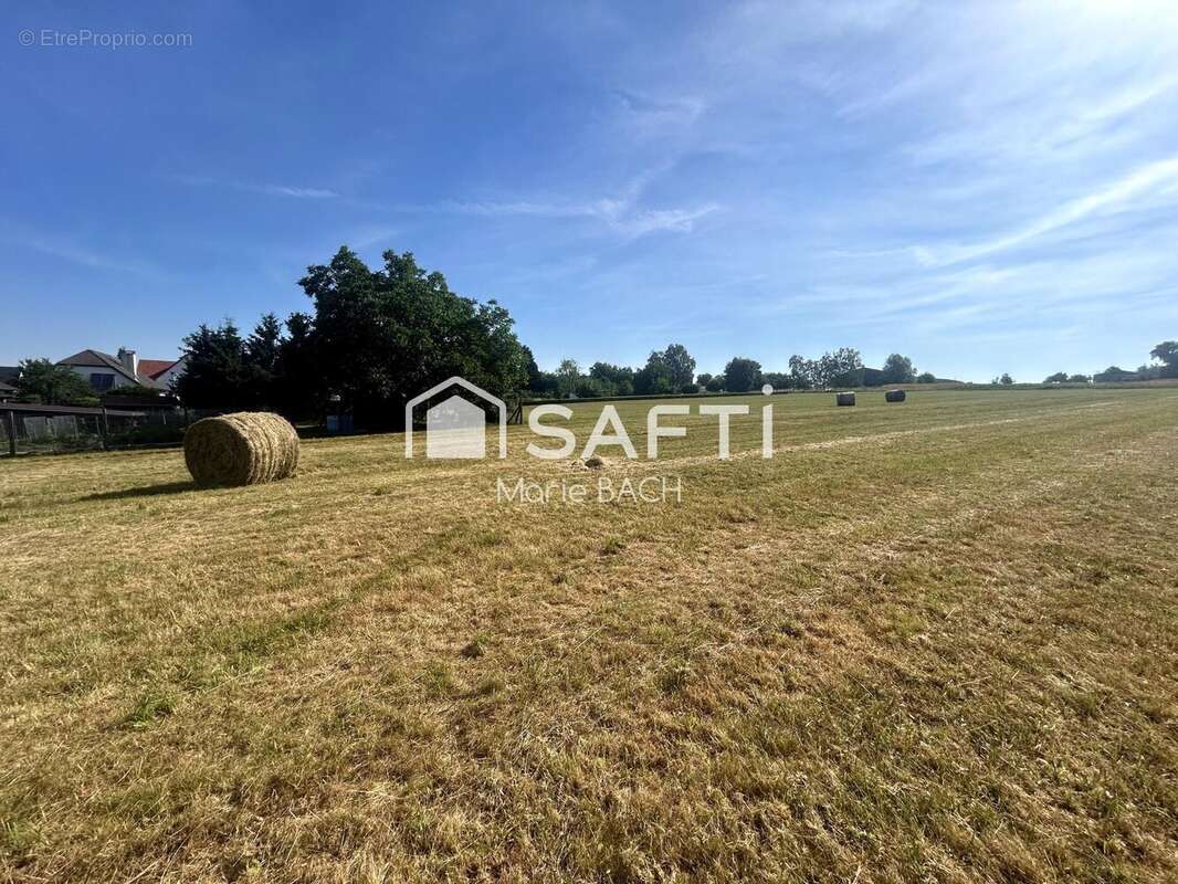 Terrain 3318 m² à Diemeringen  - photo 4