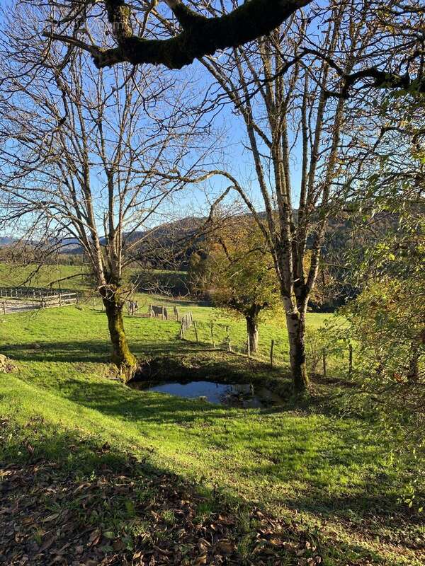 Maison à AUGEROLLES