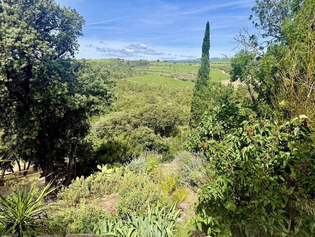 Propriété de caractère avec 2 maisons d'amis, 2 piscines et 9 hectares au cœur du Minervois - photo 23
