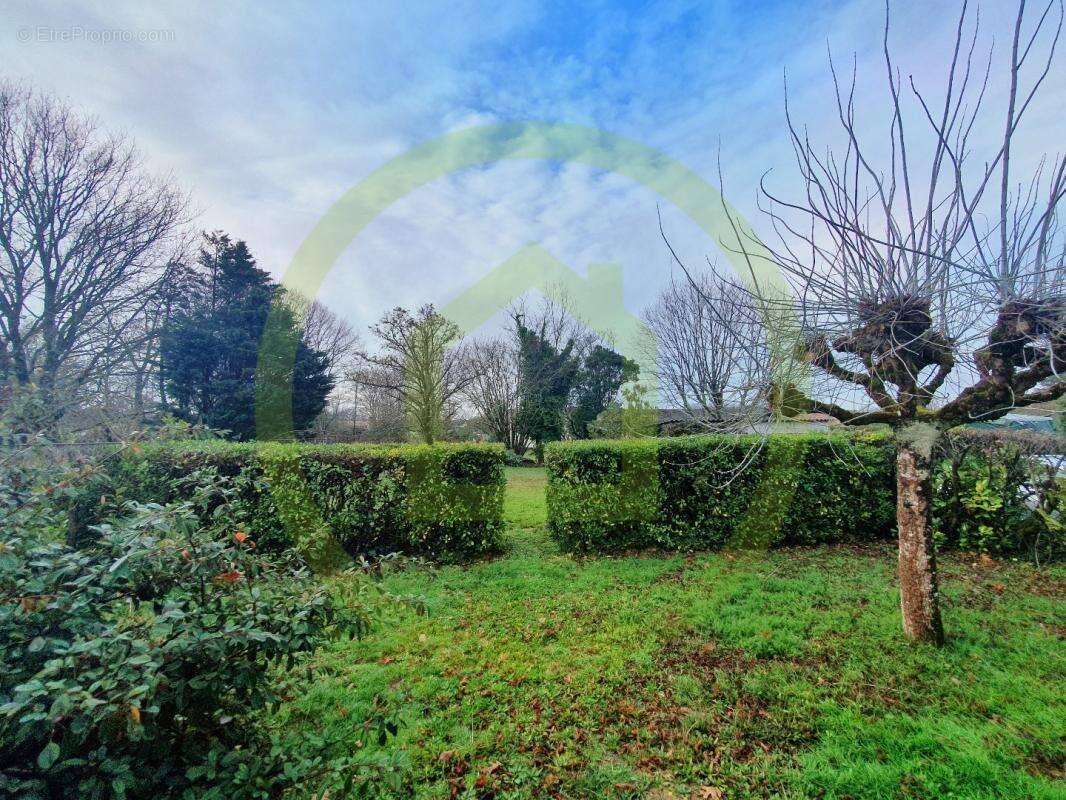 Maison à SAINT-SULPICE-ET-CAMEYRAC