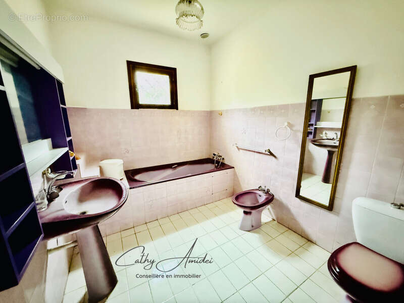 SAGONE (Corse) : Propriete à vendre, maison T4 + dépendance avec 2 appartements T1, sur terrain plat de 5000m2 - photo 10