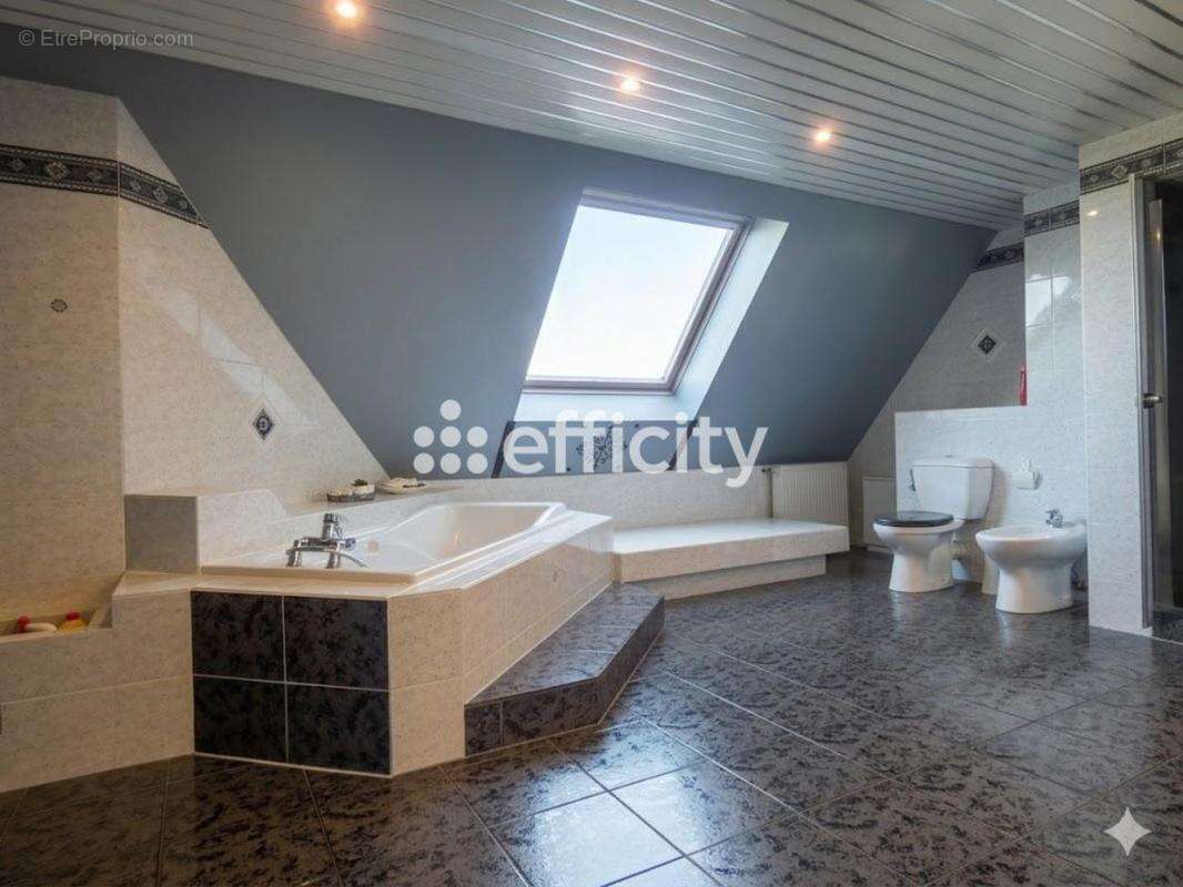 Maison 209 m² à Pulversheim  - photo 17