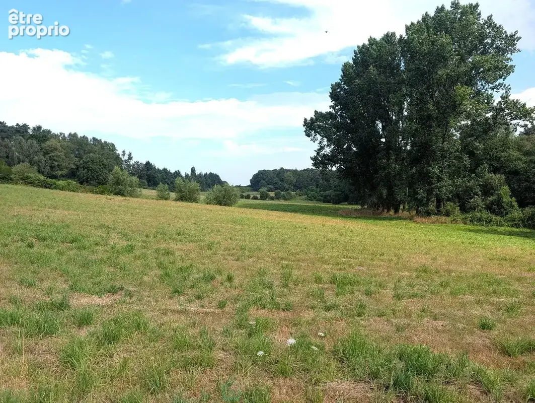 Propriété sur 27 hectares, maison 179 m2, bâtiments de 700 m2 salle de réception et 600 m2 garage - photo 10
