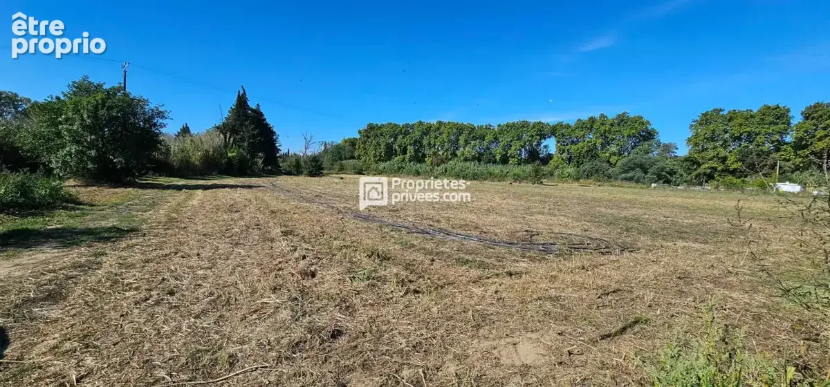 Terrains agricoles à  Elne  d'une superficie totale de 29 154 m2 - photo 3