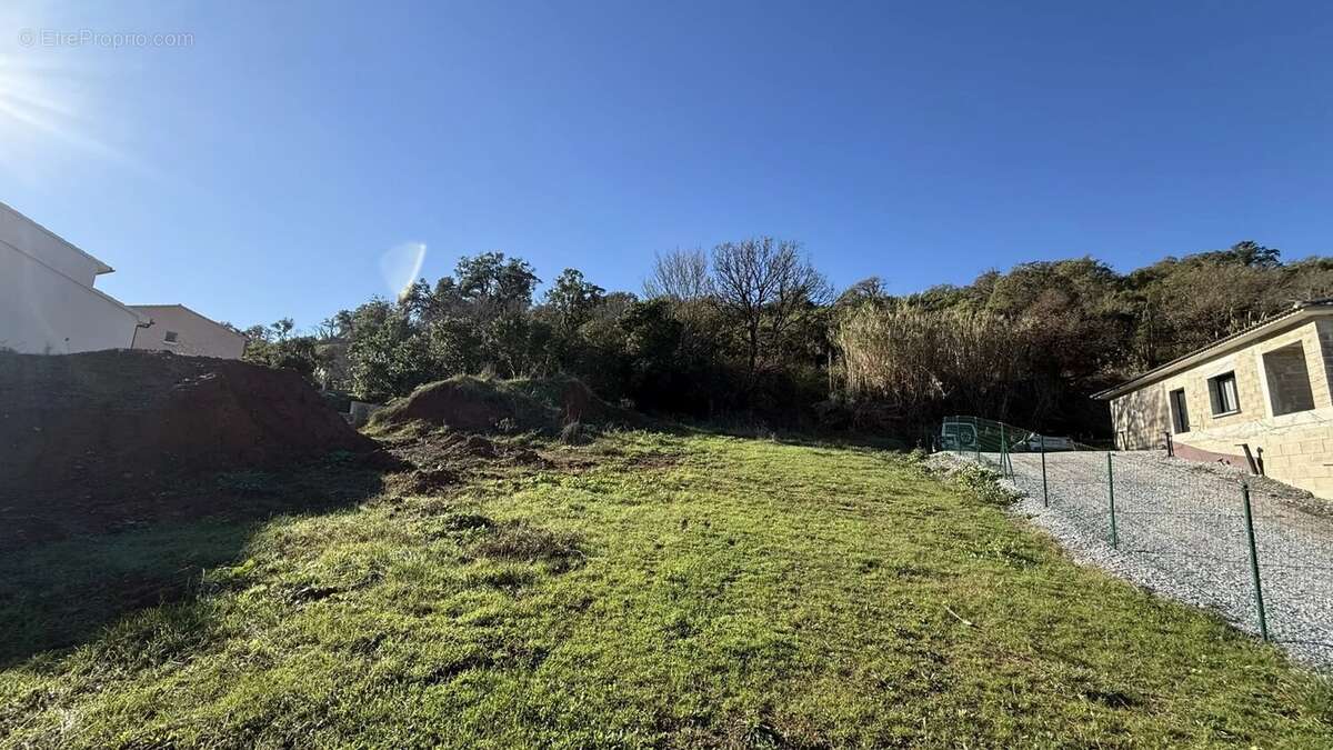 Terrain à POGGIO-MEZZANA