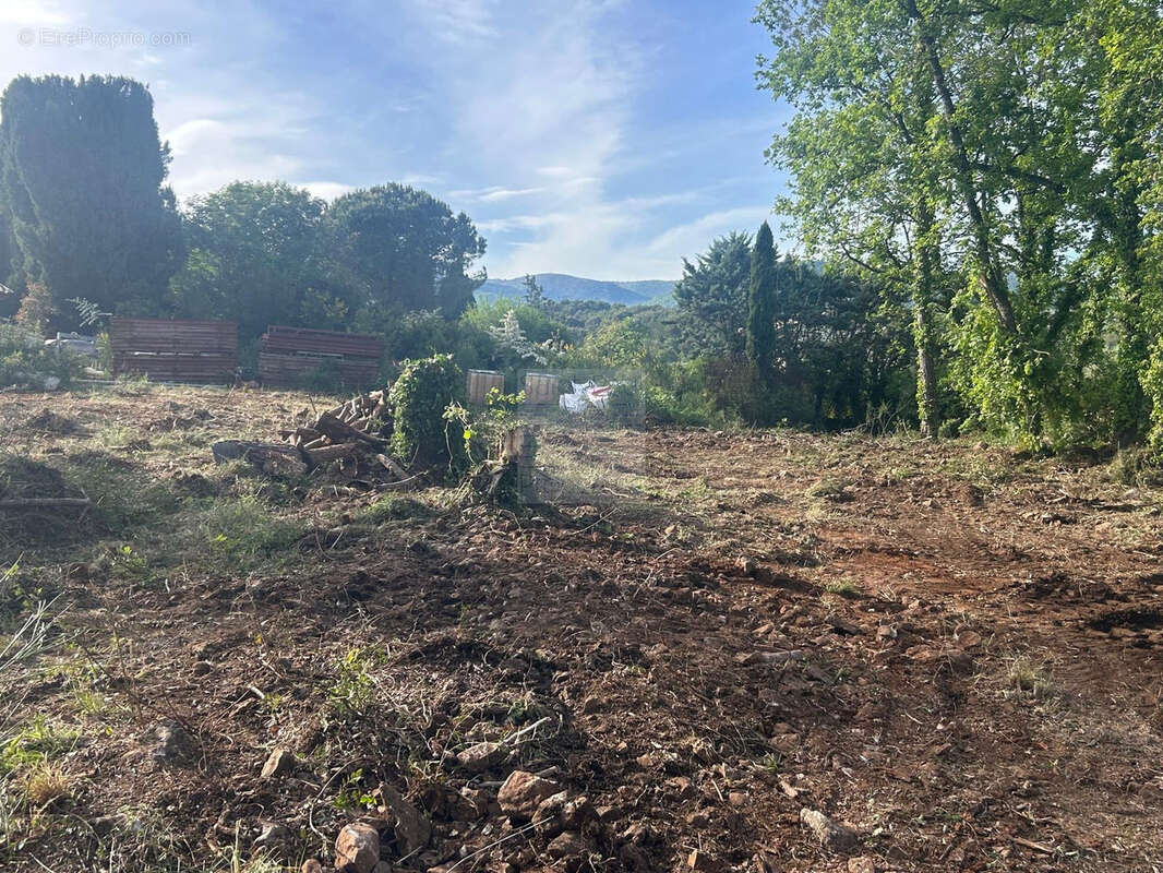Superbe terrain - 1318m2 - Saint-Paul de Vence - photo 4