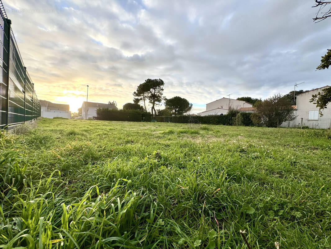 Terrain à VAUX-SUR-MER