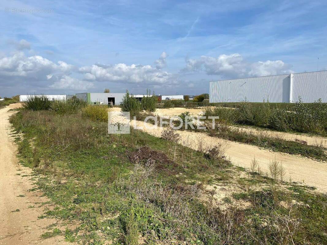 Terrain à DOUE-LA-FONTAINE