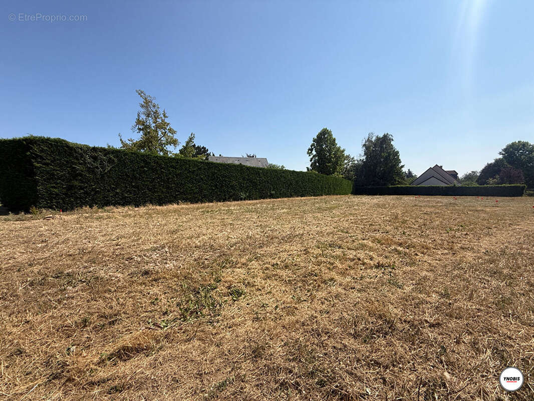 Terrain Les Alluets Le Roi - photo 2