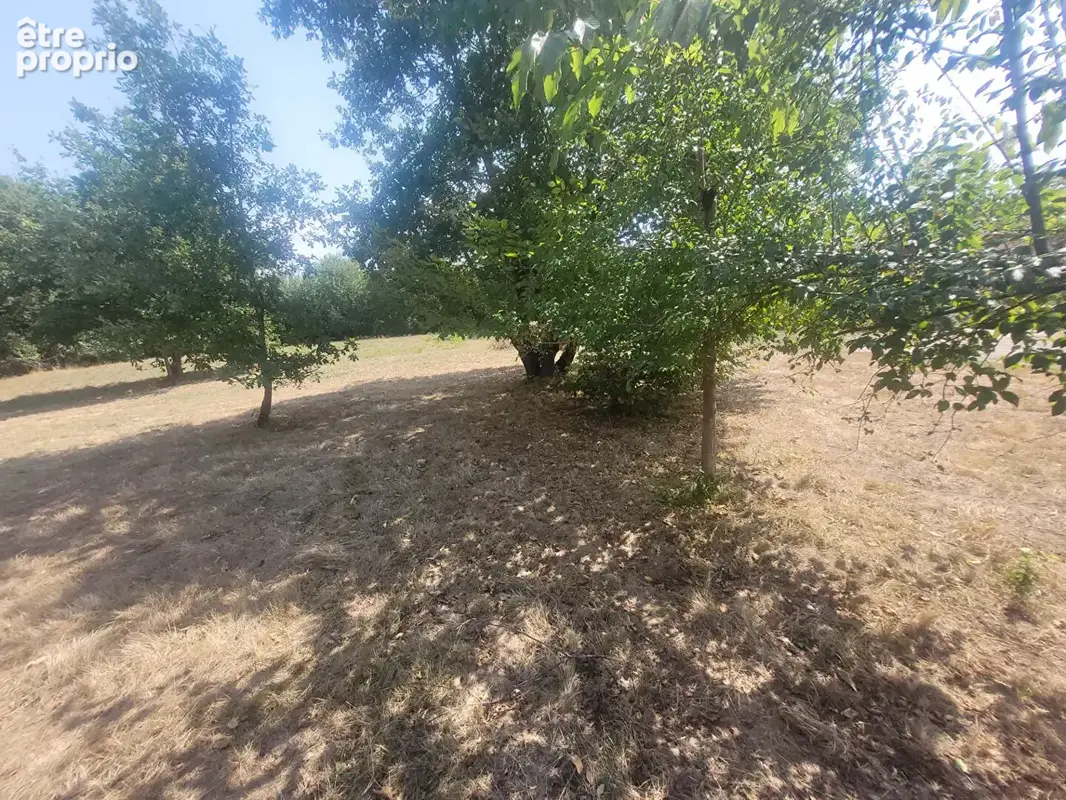 Au sud de Montauban maison T4 avec un demi sous-sol - photo 8