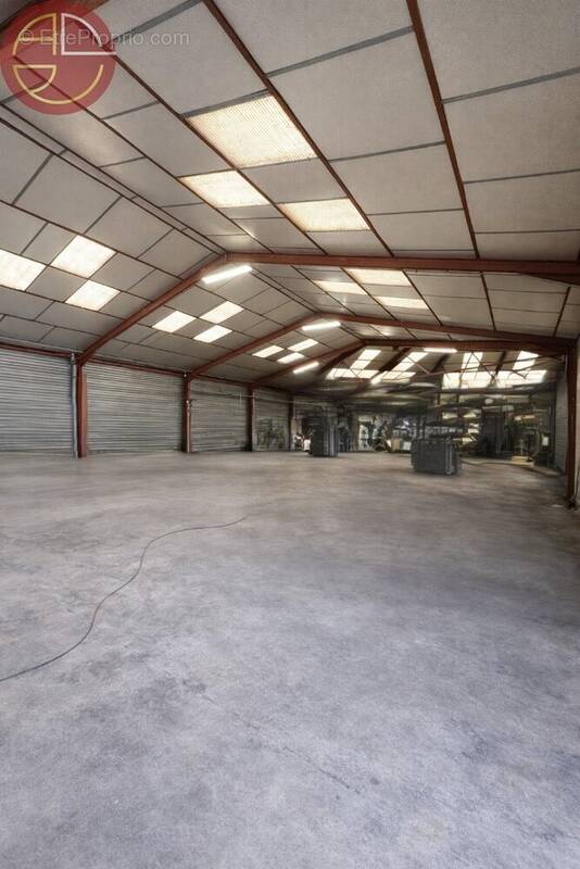 Commerce à PINS-JUSTARET