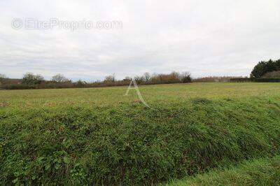 Terrain à CHISSEAUX