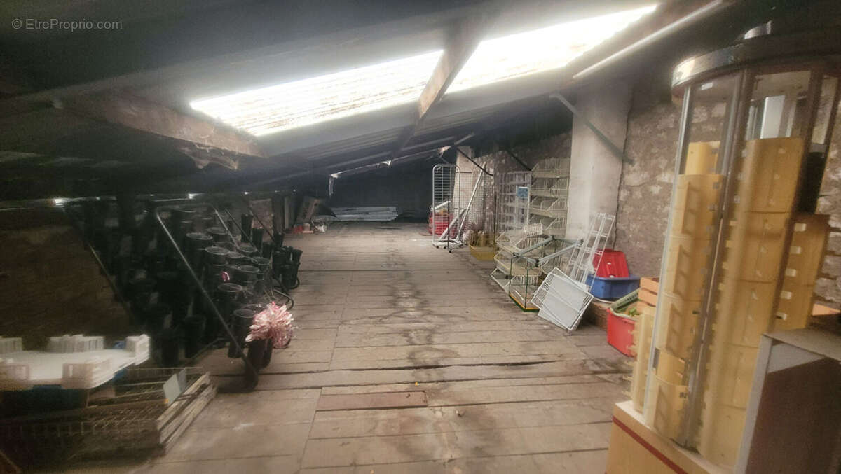 Commerce à JOIGNY