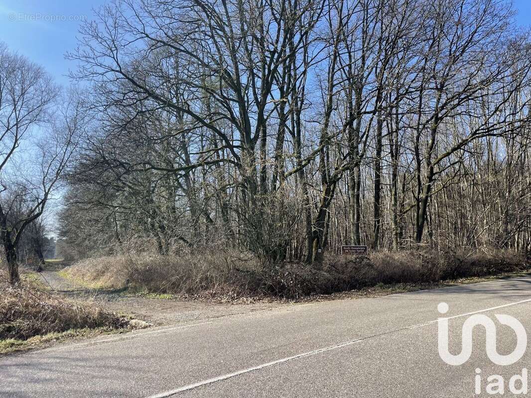 Photo 5 - Terrain à CARLING
