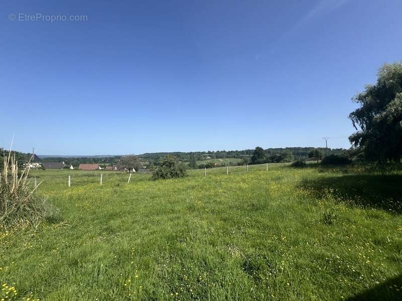 BEAUMONT-EN-AUGE – Appartement neuf T3 avec grande terrasse dans un environnement d’exception - photo 5