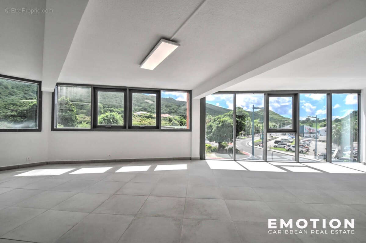 Commerce à SAINT-MARTIN