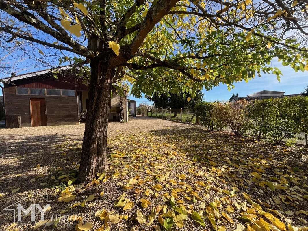 Maison à SAINT-AVIT-SAINT-NAZAIRE
