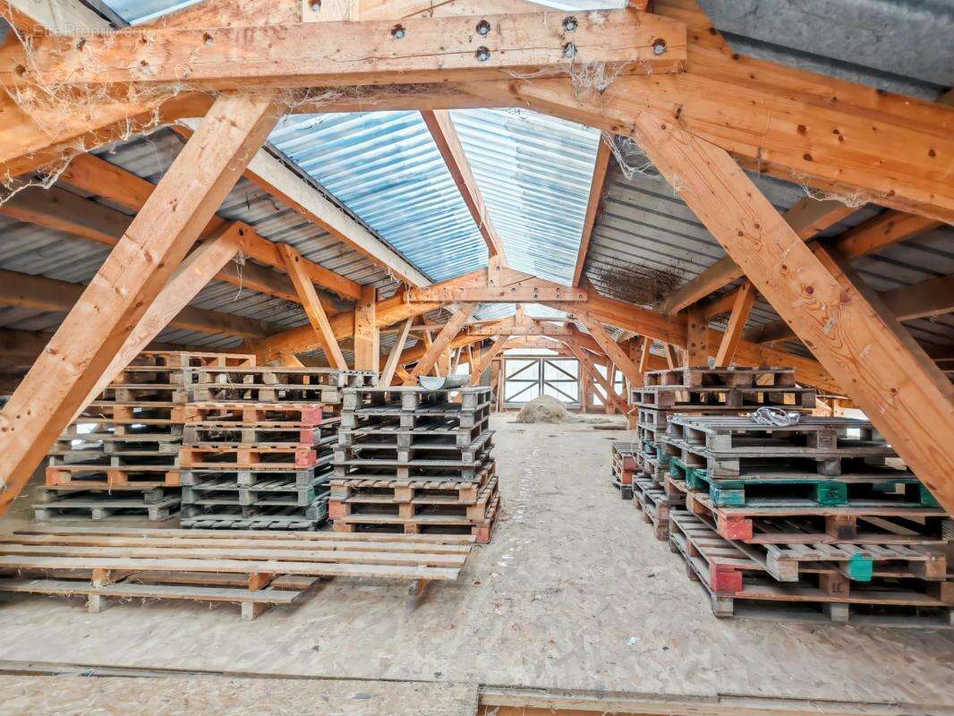 Commerce à LA RIVIERE-ENVERSE