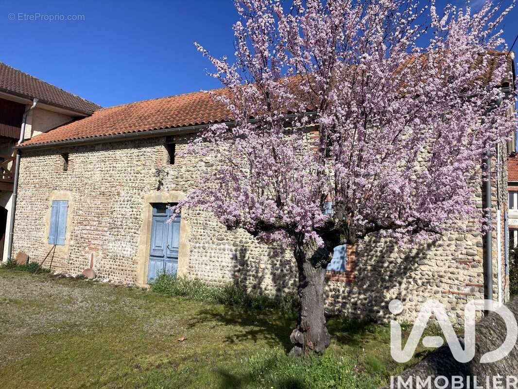 Photo 2 - Maison à MAUBOURGUET