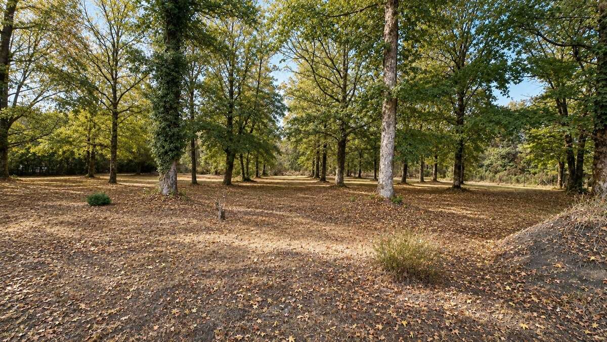 Propriété à vendre 215m² SAINT JEAN D'ILLAC (33) - photo 7