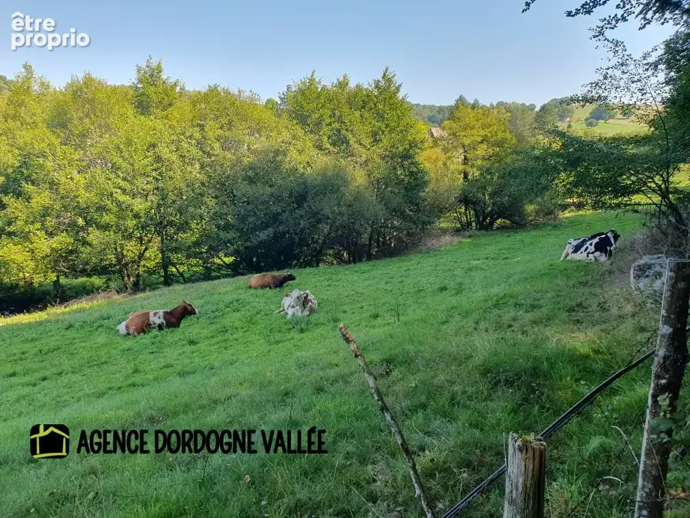 Maison de village en pierres avec terrain attenant de 2,5 ha, ruisseau, source et puits. - photo 20