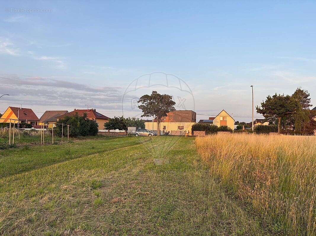 Terrain à DESSENHEIM