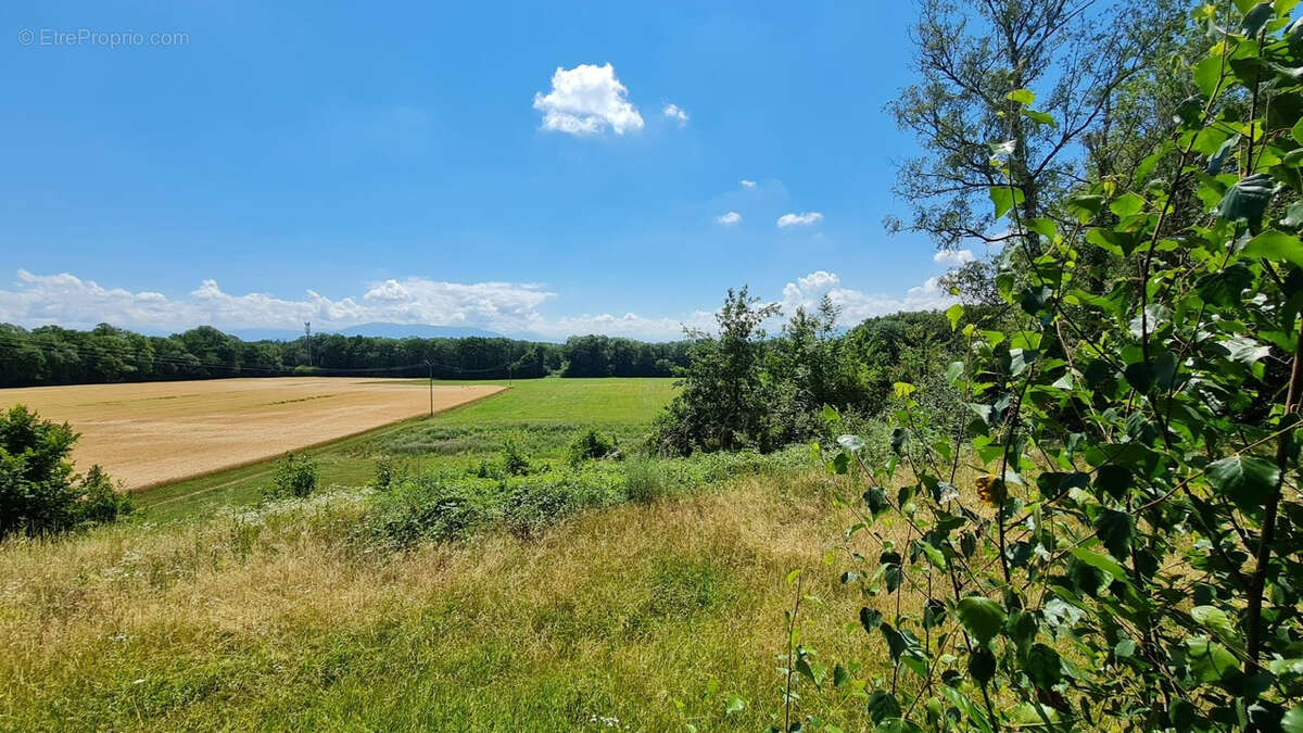 Terrain à CESSY