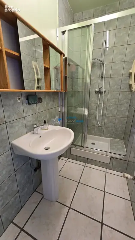 Maison 219 m² à Nogent  - photo 9