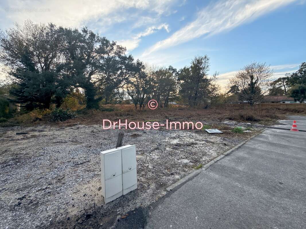 Terrain à MESSANGES