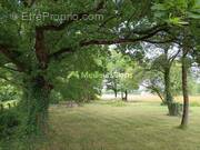 Maison à BOUZY-LA-FORET