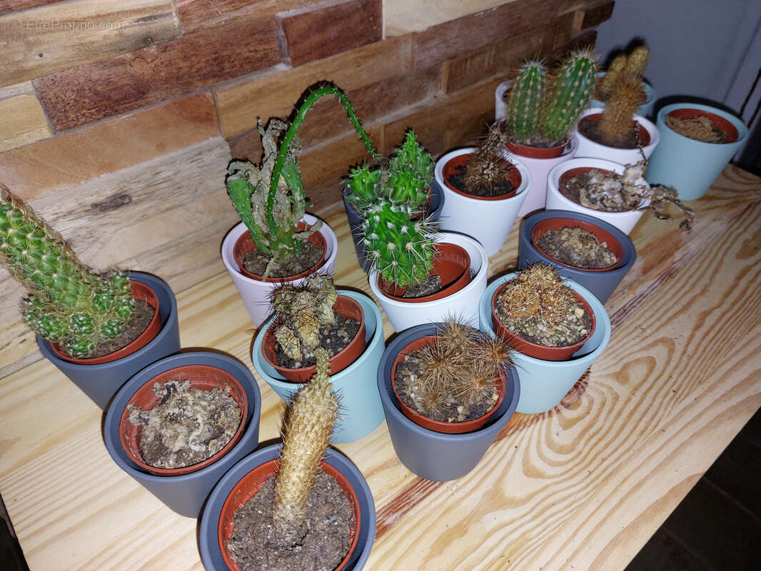 Commerce à CHALONS-EN-CHAMPAGNE