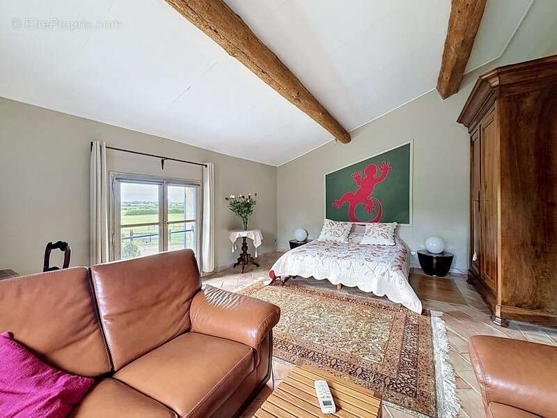 Mas de Charme en Camargue – 3 Habitations, Dépendances et Piscine - photo 13