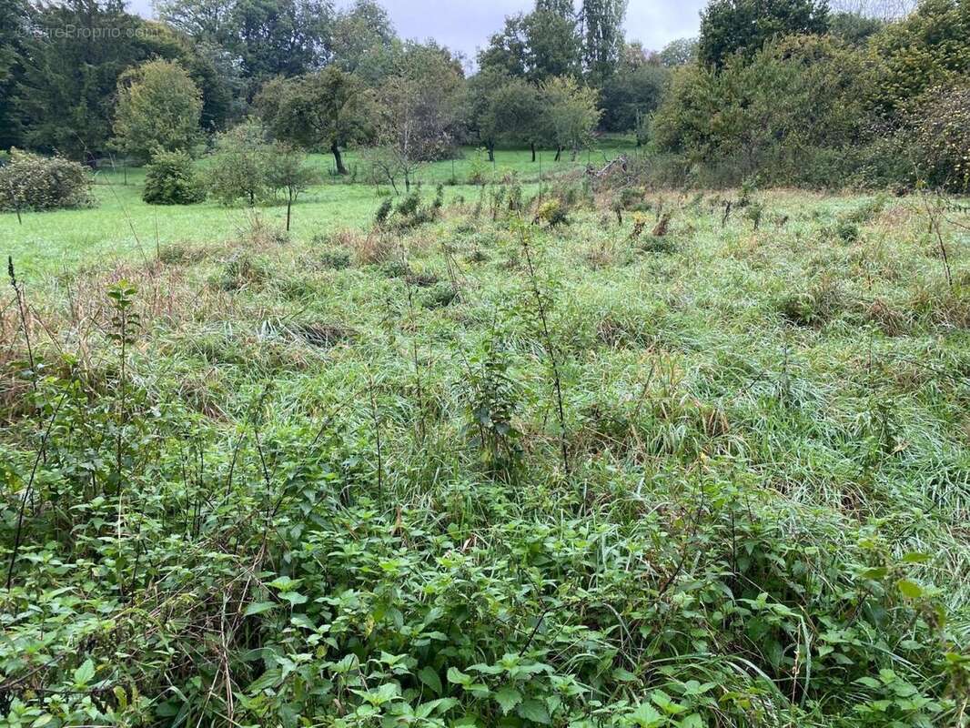 Photo 5 - Maison à GRAFFIGNY-CHEMIN