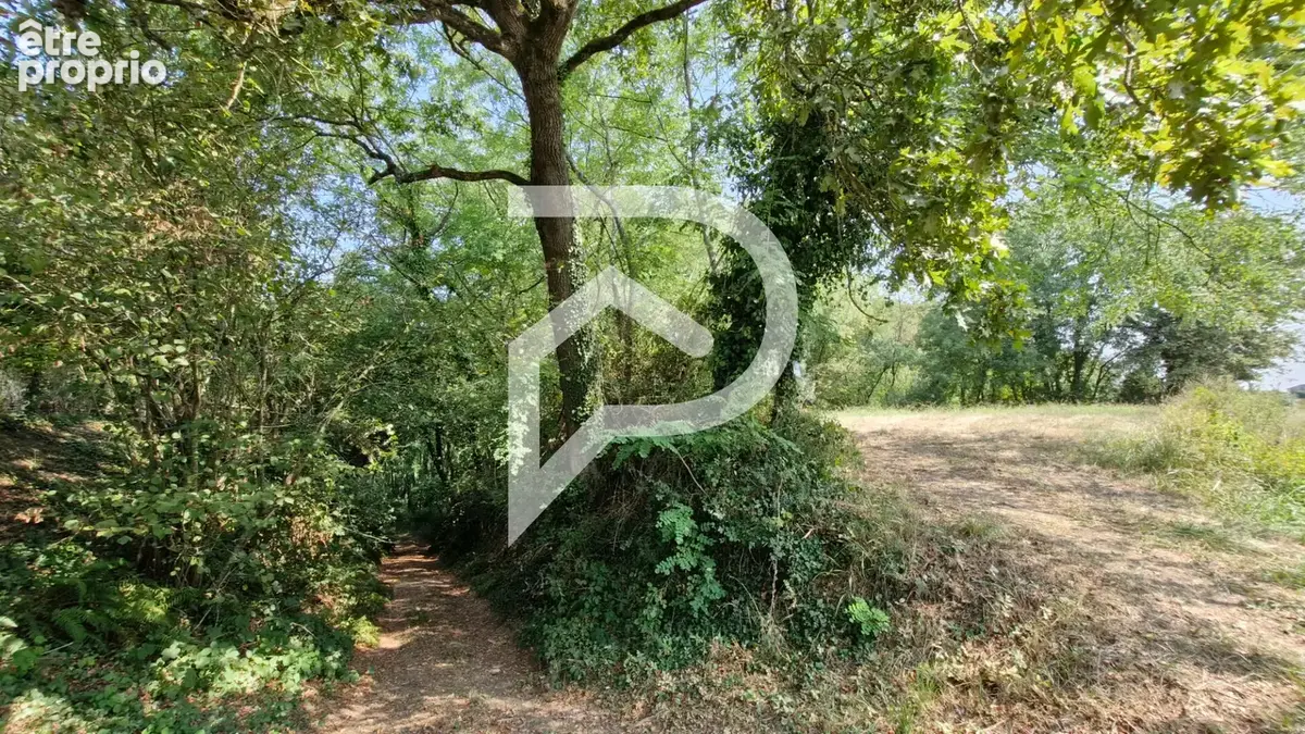 Bois et taillis CAUPENNE 3,45 Hectares - photo 2