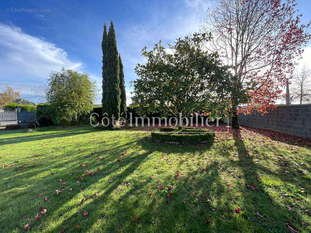 Terrain à SAINT-MARS-DE-COUTAIS