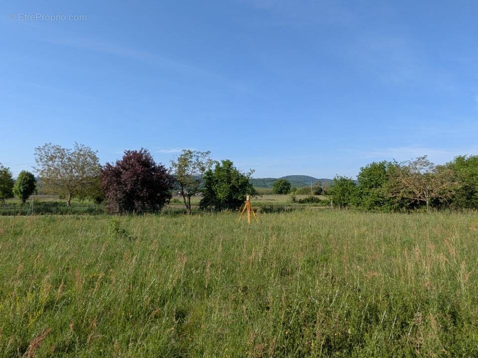 Terrain à PALAMINY