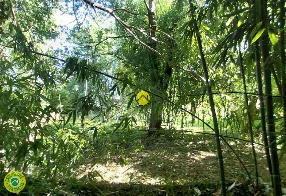 Tout au bout, Coule Une Rivière - photo 7