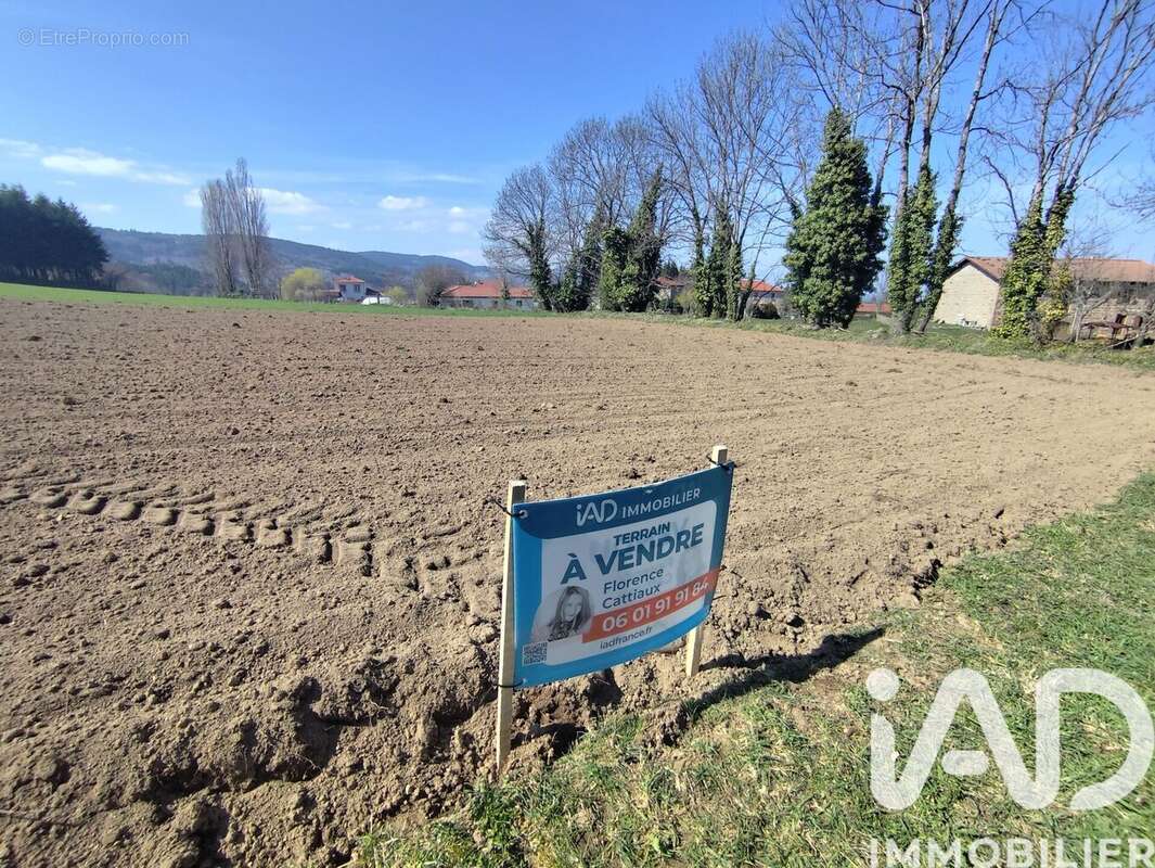 Terrain 3155 m² à Saint-Jean-Soleymieux  - photo 3