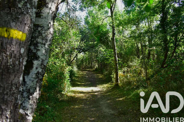 Photo 2 - Terrain à PARIGNY-LES-VAUX