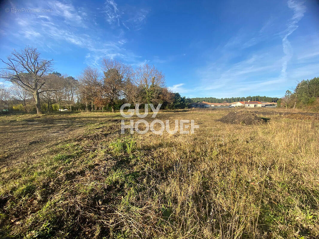 Terrain à PONTENX-LES-FORGES