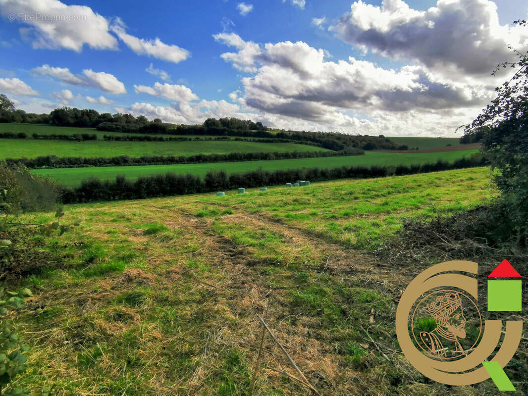 Terrain à VIEIL-HESDIN