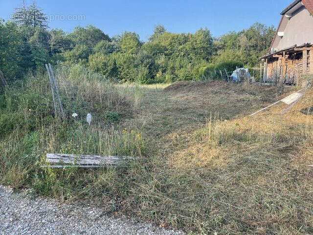 Terrain 7720 m² à Montrond  - photo 6