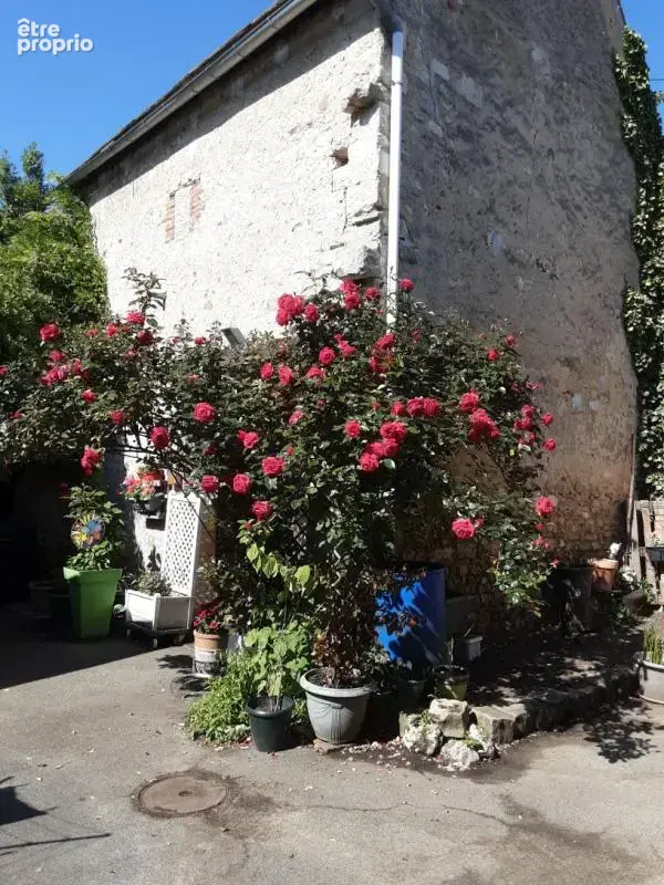 A ne pas manquer - photo 17